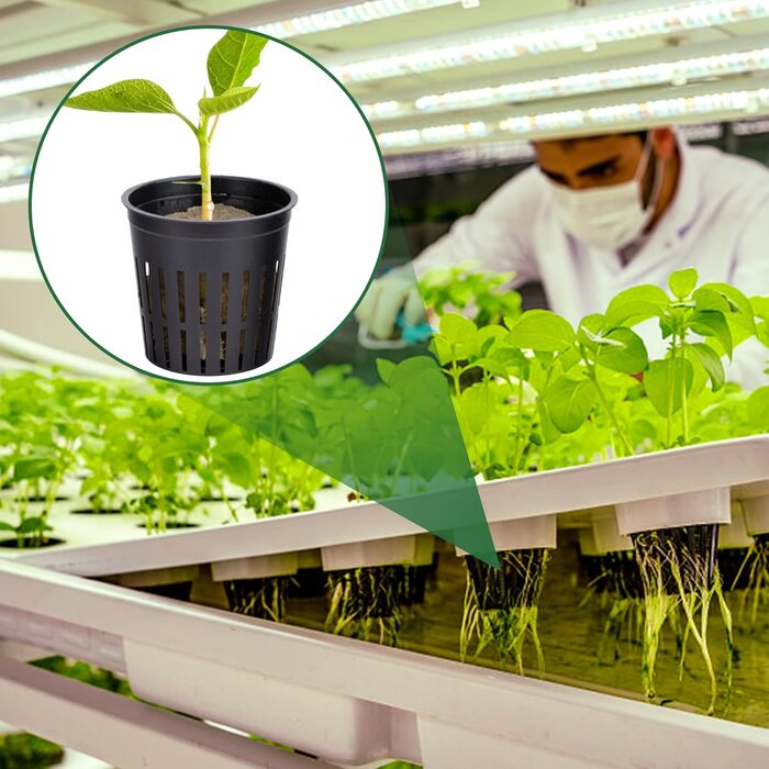 Набір сіток для гідропоніки з 76 шт. - 20 чашок для горщиків 2 дюйми (5 см) із сіткою з прорізами, 36 пакетів для вирощування мінеральної вати, 20 шт. самополивного бавовняного гнітового шнура для гідропоніки