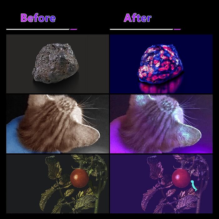 Ультрафіолетовий ліхтарик WINDFIRE 30 Вт, акумуляторна УФ-лампа Blacklight 365 нм, детектор сечі домашніх тварин, сильне ультрафіолетове світло для полювання на бурштин, скорпіонів, смоли, юперлайт, уранове скло