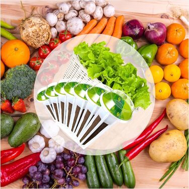 Губки для росту Rigute, 12, набір систем для гідропонного вирощування, включаючи 30 шт. Гідропонного кошика для посадки, 30 шт. Гідропонних ізольованих кришок, 30 шт. Губки для рослин, 30 шт. етикеток