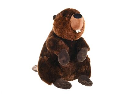 М'яка іграшка Бобер Wild Republic Cuddlekins, 30 см