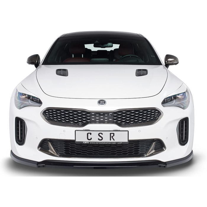 Автомобільні чохли для фар, сумісні з/замінені для Kia Stinger SB296-L