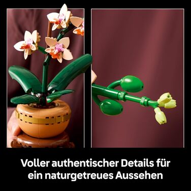 Конструктор LEGO Botanical Collection Mini Orchid, 274 деталі, декоративна орхідея