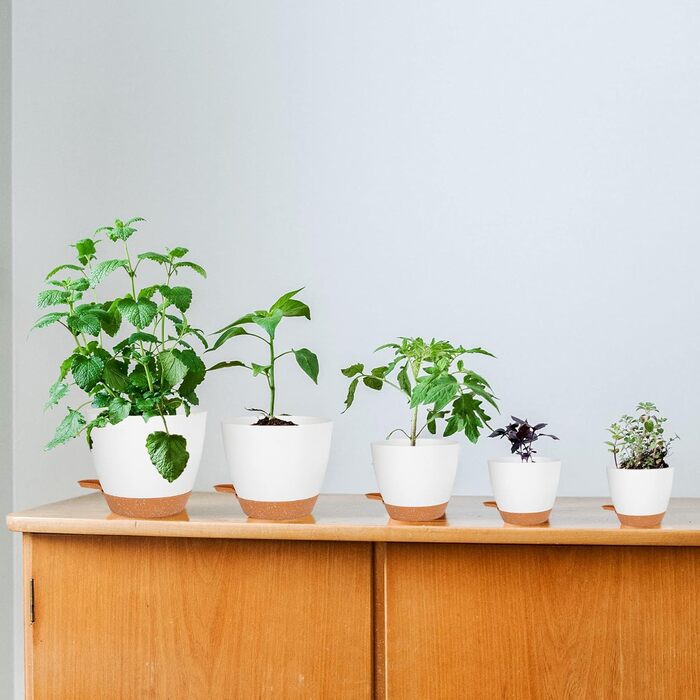 Квітковий горщик CSYY, набір із 7 пластикових квіткових горщиків із системою поливу, 20,3/19/17,7/16,5/15,2/14/12,7 см, самополивний горщик для рослин із блюдцем, для використання в приміщенні та на вулиці, білий, 7 предметів