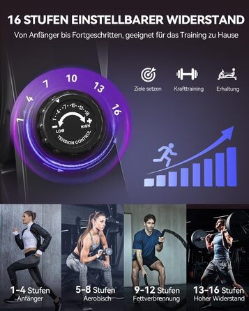 Новинка 2026 року Магнітний гребний тренажер DMASUN для домашнього використання з оновленими подвійними рейками, підключенням до додатку, 16 рівнями опору, РК-дисплеєм даних, ідеально підходить для кардіотренувань, витримує до 160 кг, чорний/сріблястий