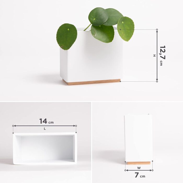 Настінні вази -Alma- Сучасні підвісні кашпо для квітів на стіну Набір кашпо з 3-х частин з високоякісної смоли для кімнатних росли