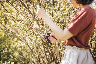 Садові ножиці Fiskars Bypass M, X-серія PowerGear, P921, З ручкою, що обертається, Для свіжих гілок та сучків, Антипригарне покриття, Леза з нержавіючої сталі, Довжина 20,1 см, Чорний/Помаранчевий, 1057173 X-серія P921