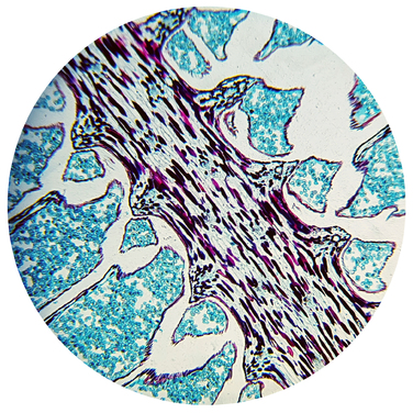 Мікроскоп Bresser Biolux NV 20-1280x HD USB Camera з кейсом (5116200)