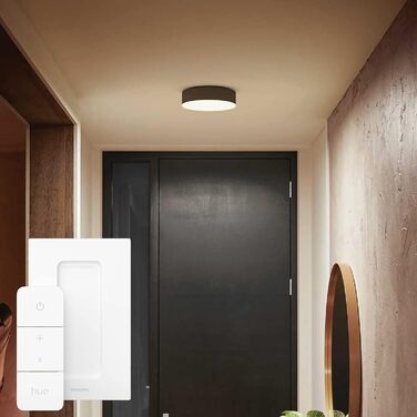 Стельовий світильник Philips Hue Enrave з димером, S, чорний