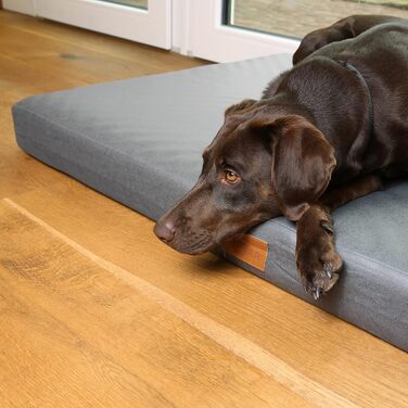 Ваше ортопедичне ліжко для собаки GEAR Biella 120x80x10 см, килимок для собаки, подушка для собаки, Oeko-TEX, можна прати