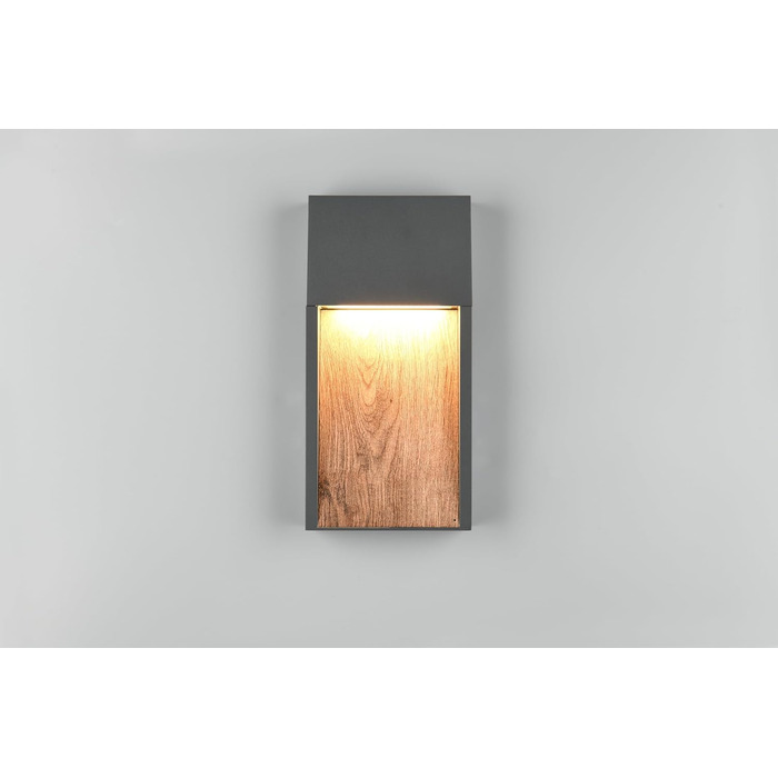 Стічний вуличний LED-світильник Trio Salmon 246960135, литий алюміній, антрацит/імітація дерева, з LED-лампою 11 Вт