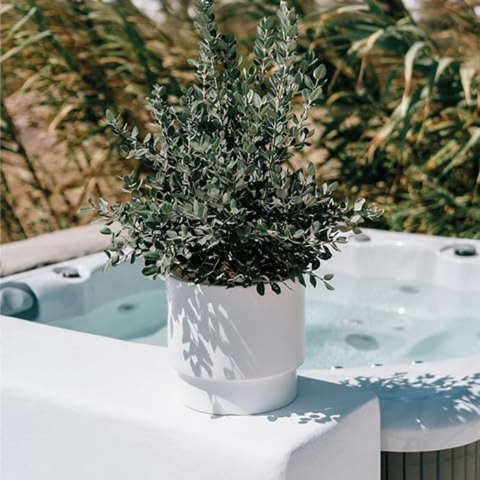 Великий вуличний горщик для квітів - Квітковий горщик із вставкою, Пластиковий квітковий горщик, Великий вуличний квітковий горщик, Горщик для квітів, для саду та балкону (MDBHEN, 30 см Антрацит) 30 см Антрацит Mdbhen