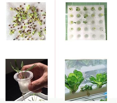 Із насосом для освітньої системи гідропоніки (B-36 отворів), 36 Sites, 4 Pipes Soilless Plant Rasting Systems, Flow Deep Hydroponic Gardens