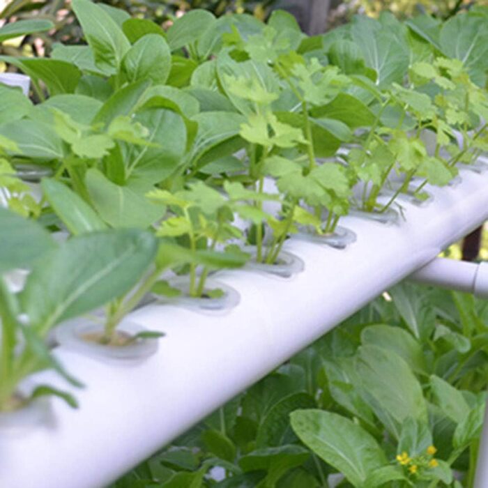 Шаровий набір для гідропонічного вирощування з 36 посадковими місцями, системи вирощування рослин без ґрунту з ПВХ з водяним насосом. Набір для гідропонічного вирощування для вирощування овочів і фруктів на балконах, садах, патіо та подвірях., 1-