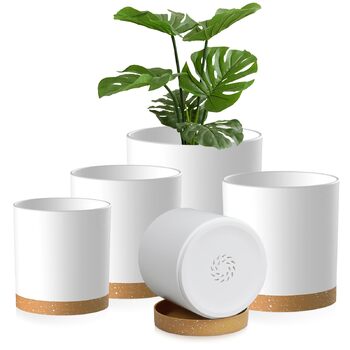 колір: білий та коричневий піднос