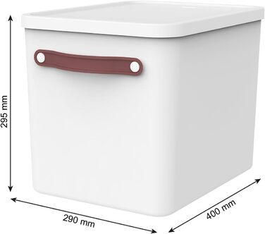 Набір Rotho MYPAPER для архівування документів MY PAPER Plus, набір, що складається з органайзера для документів та системи для архівування з роздільниками, пластик, білий з синіми папками Білий/Синій