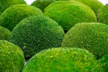 Кульковий мох, кульковий мох, консервований у 3-х різних кольорах, справжній міцний натуральний продукт для виготовлення мохових картин, займає площу 30х30 см - 0,10 м (світло-зелений)