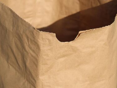 Паперові пакети для сміття, 70 літрів, 2-шарові, 70 г/м, 25 шт. , 85x55x23 см, коричневі