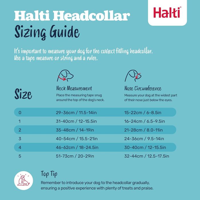 Комплект головного поводця та тренувального поводка Halti, запобігає тягненню собаки під час прогулянок, включає головний повідець розміру 5 та двосторонній повідець, чорний. Розмір 5.