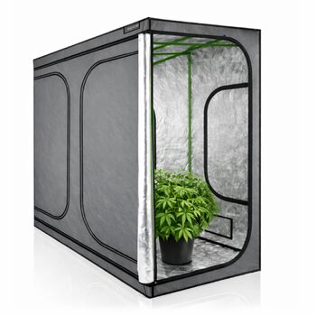 Намет для вирощування MyHomeGrow, сірий Закритий бокс для вирощування рослин Гроубокс, домашнє вирощування, гроушафа Намет для розсади, рослинний намет, теплиця для вирощування, 240x120x200