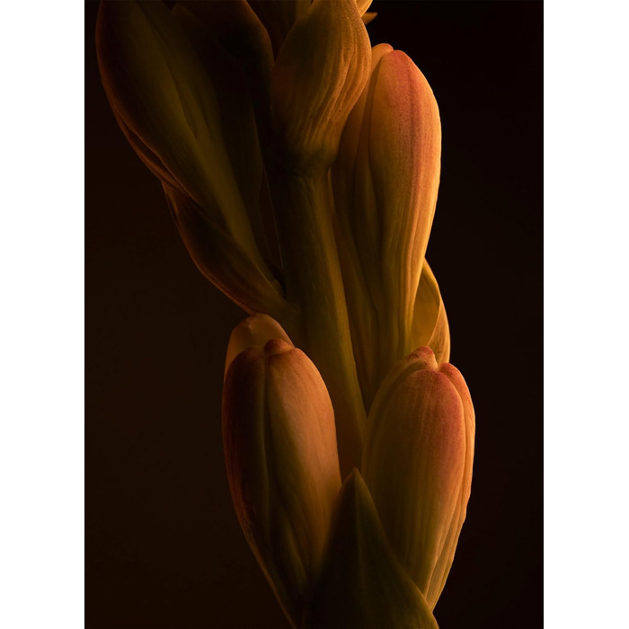 Туалетна вода Paco Rabanne 1 Million (100 мл)