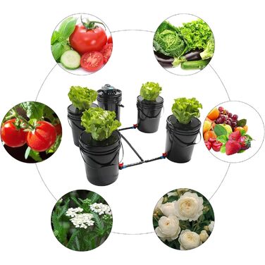 Система гідропонного вирощування DWC, глибоководна культура 5 галонів 4 відра, система гідропонного вирощування, набір для гідропонного вирощування з верхньою крапельницею, 4 пряжками та 1 резервуаром