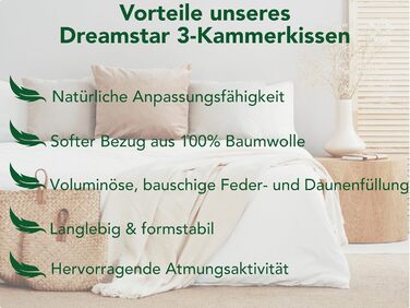 Пухова подушка DREAMSTAR 40 x 80 см 3-камерна пухова подушка Пухова та пір&39яна подушка 40 x 80 см Сертифікована подушка Oeko-Tex Найвища готельна якість Підходить для алергіків Бавовна 40 x 80 см