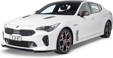Автомобільні чохли для фар, сумісні з/замінені для Kia Stinger SB296-L