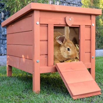 Великий будиночок для маленьких тварин Zooprinz зі складним дахом ідеально підходить для використання в приміщенні та на вулиці особливо легко переміщується будиночок для гризунів з масиву дерева, пофарбованого в натуральний колір будиночок для кроликів