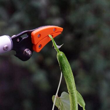 Садові ножиці Ardentity з довгою ручкою, довгий виліт, садові ножиці з довгою ручкою для гілок дерев, фруктових шпажок