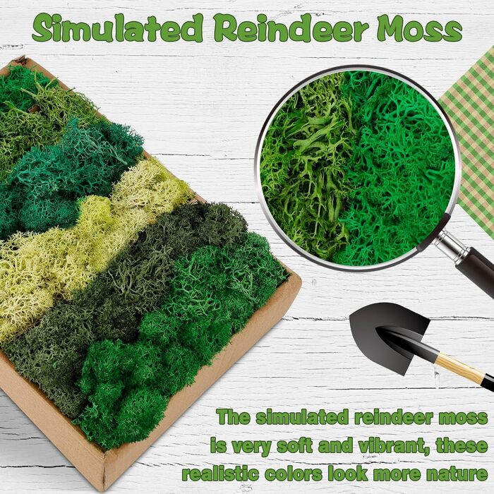 Ісландський мох, консервований мох, декоративний мох для рукоділля, картина з моху, виготовлення моделей, художній мох, натуральний консервований мох у 6 кольорах (240 г), натуральне багаторазове листя моху для декору, виготовлення моделей, прикраса для д