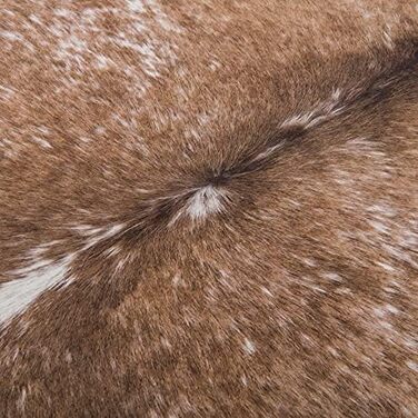 В 3 розмірах 125x160 см