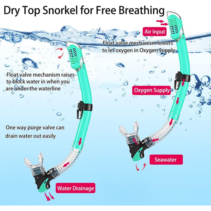 Комплект для дорослого підводного плавання з ластами, маскою для дайвінгу, трубкою сухого типу та сумкою для перенесення, колір аквамариновий, розмір S/M (36-41)