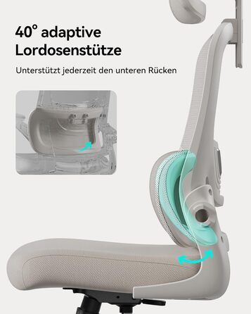 Ергономічне офісне крісло Hbada P1, стілець для роботи з регульованою поперековою опорою, стілець для домашнього офісу з 2D-підголівником, складними підлокітниками, обертове комп&39ютерне крісло, сірий колір