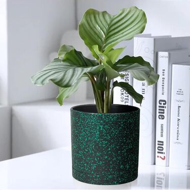 Набір з 5 квіткових горщиків з блюдцями, 17,8 см/15,2 см/14 см/12,7 см/10,2 см, пластикові кашпо, набір квіткових горщиків, ідеально підходить для кімнатних та балконних садів, чорний із зеленими цятками 765,554 дюймів (5 шт.) чорний із зеленими цятками