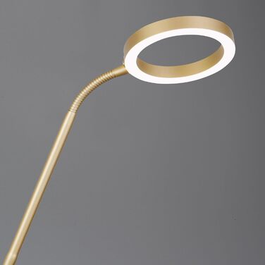 Стільовий торшер Trio Leuchten Willis 449510279, металевий, золотистий, 39 5.5 Вт LED, регульована колірна температура, диммер
