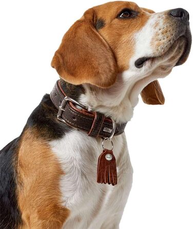 Нашийник для собак, шкіра, рустикальний стиль, м'який, 45 (S), темно-коричневий/коньячний 45 темно-коричневий
