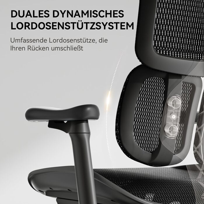 Ергономічне офісне крісло SIHOO з подвійною динамічною поперековою опорою, робоче крісло з 5-позиційною регульованою спинкою, офісне крісло з 4D-координованими підлокітниками (S100 Black) Чорний сучасний