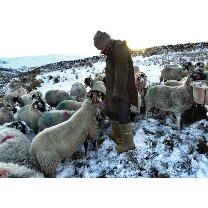 Чоловічі захисні чоботи зеленого кольору, 46 EU, суцільний колір