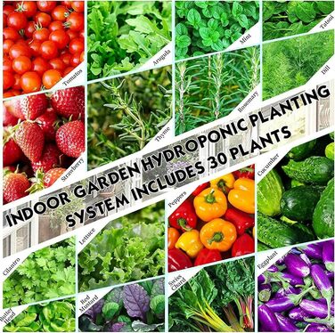 Стручків Hydroponics Tower Garden Система гідропонного вирощування. Набір для аеропоніки для вирощування трав, фруктів і овочів з гідратаційним насосом, адаптером, сітчастими горщиками, таймером для трав/, 30