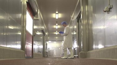 Захисне взуття DUNLOP, CA61131, Purofort FoodPro MultiGrip Safety, білий/синій, розмір 49 EU