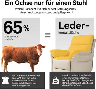 Крісло для відпочинку AIRSKY, крісло для телевізора зі справжньої шкіри з функцією відкидання, крісло для кінотеатру, крісло для сну, крісло для літніх людей, крісло для телевізора з функцією сну, крісло з ручним регулюванням для вітальні та спальні, беже