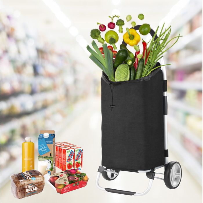 Сумка-візок ShoppingCruiser Foldable Black (604320)