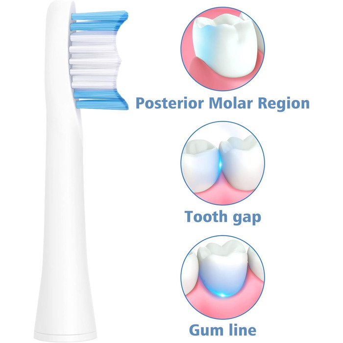 Змінні щітки підходять для щіток Oral-bPulsonic Насадки для щітки змінні насадки для щітки біла 10 біла, 10 шт.