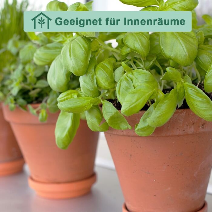 Теракотові горщики vensovo з блюдцями, 7,6 см, глиняний горщик, керамічний горщик, кактус, квіткові горщики, горщик для сукулентів, дренажний отвір, ідеально підходить для рослин, виробів, весільних подарунків, 12 шт. , коричневий 1