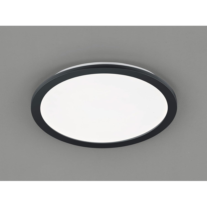 Стельовий LED-світильник Reality Camillus R62922432, матовий чорний пластик, білий акрил, 24 Вт, діаметр 40 см