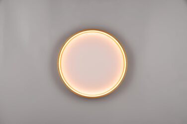 Стельовий LED-світильник Trio Leuchten Doha 641310208, матова латунь, акрил, LED 29 Вт