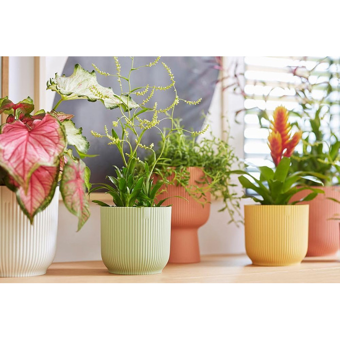 Круглі горщики для рослин elho Vibes Fold - Кімнатні квіткові горщики - 100 перероблений пластик - Набір з 3 шт. - Ø 14, 16, 18 см - Зелений/Сорбет-зелений