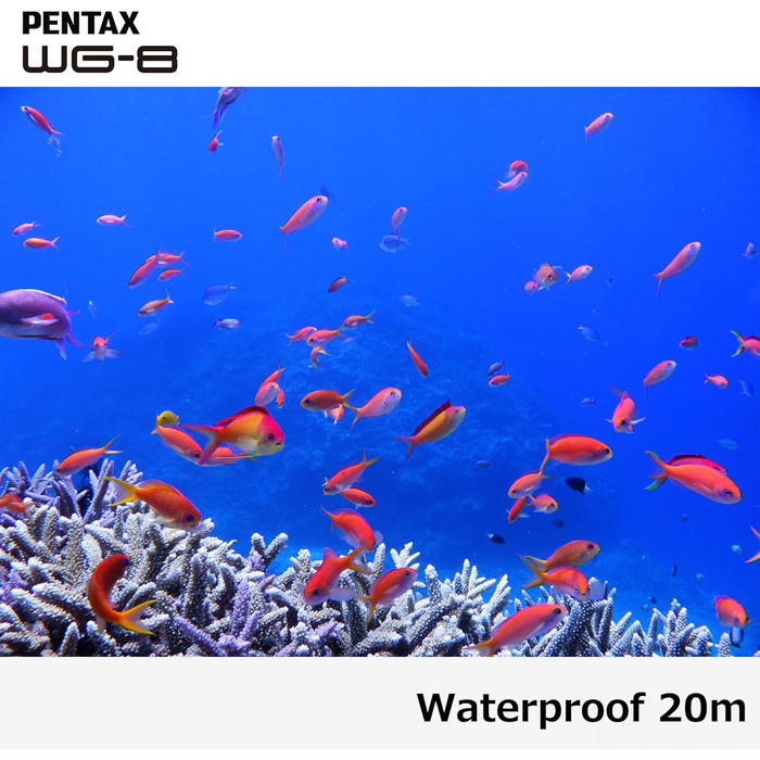 Чорна всепогодна пригодницька камера з чудовими водонепроникними, пило- та ударостійкими характеристиками, універсальним кільцевим освітленням для макрозйомки та функцією веб-камери, 8