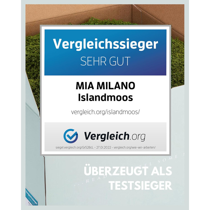 Пластинчастий мох довго зберігав природний зелений Декоративні стінові мохові панелі довговічні Картина з моху своїми руками зроби сам Килимок із натурального зеленого моху, 300 г, Living in Green