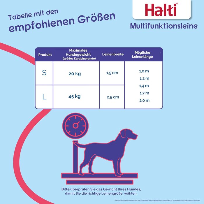 Багатофункціональний повідець тренувальний повідець з неопреновим помякшенням, світловідбиваючою стрічкою 3M та регульованою довжиною. Підходить для собак середніх та великих порід (розмір L, фіолетовий) Фіолетовий L